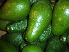 Avocados.jpg